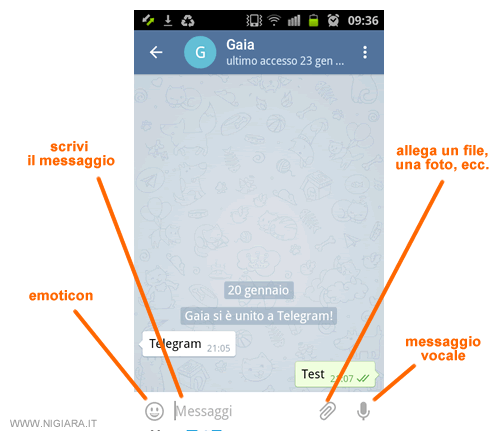 i comandi per scrivere, allegare un file o un messaggio vocale su Telegram