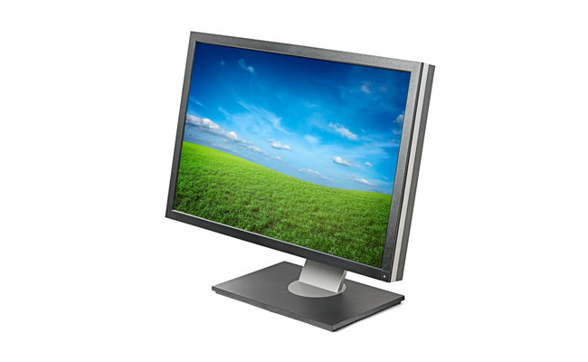 un esempio di monitor a schermo piatto ( LCD )