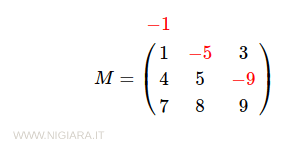 perché -1 non si vede nella matrice?